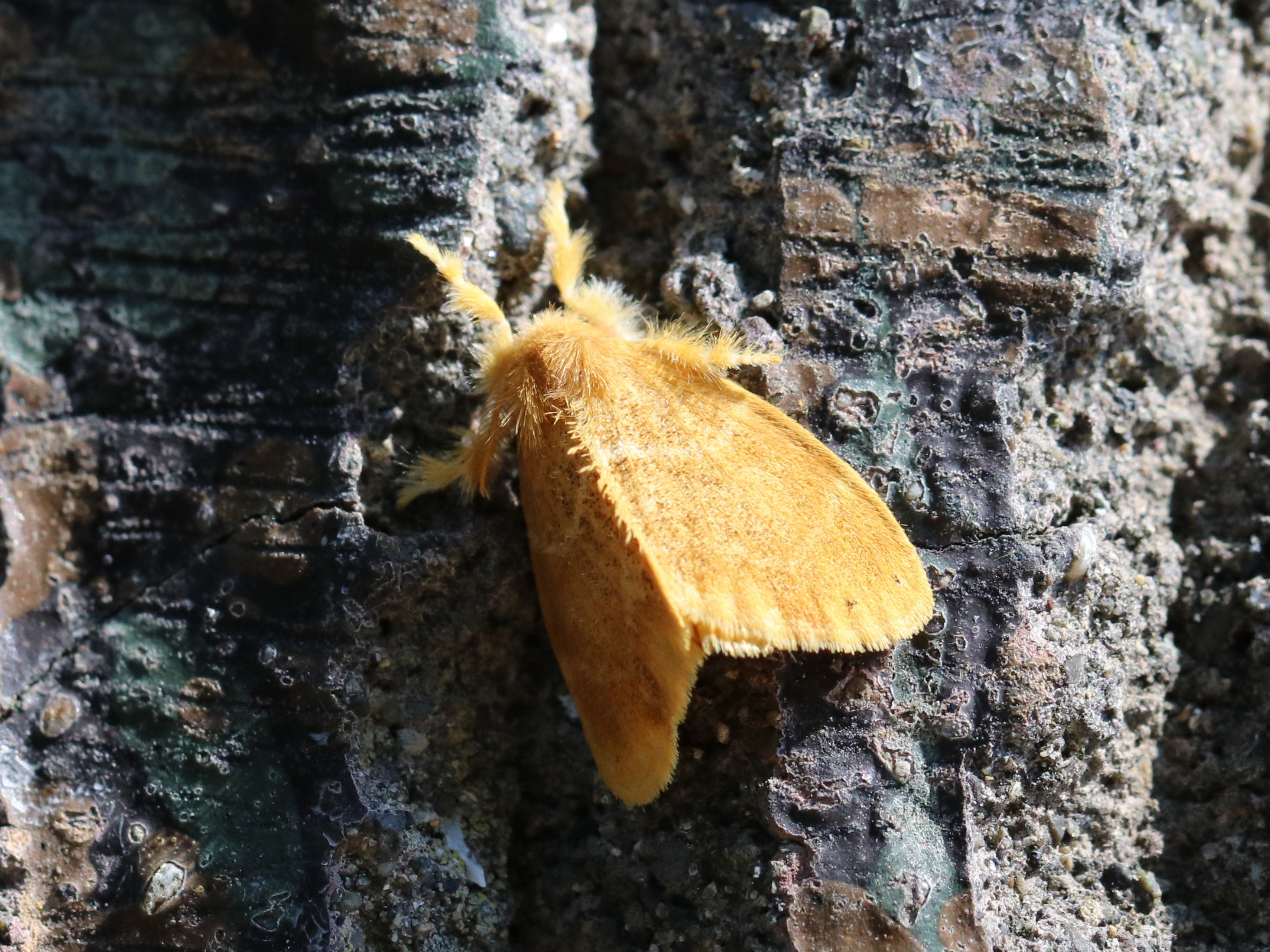 photo_6